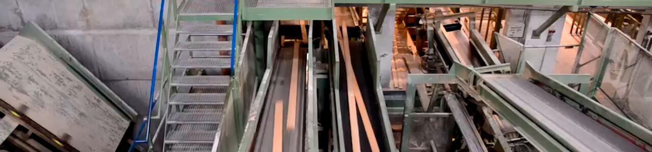 Sawn Timber