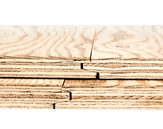 plywood tg2