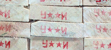Products of Ilim Timber sawmill in Ust-Ilimsk